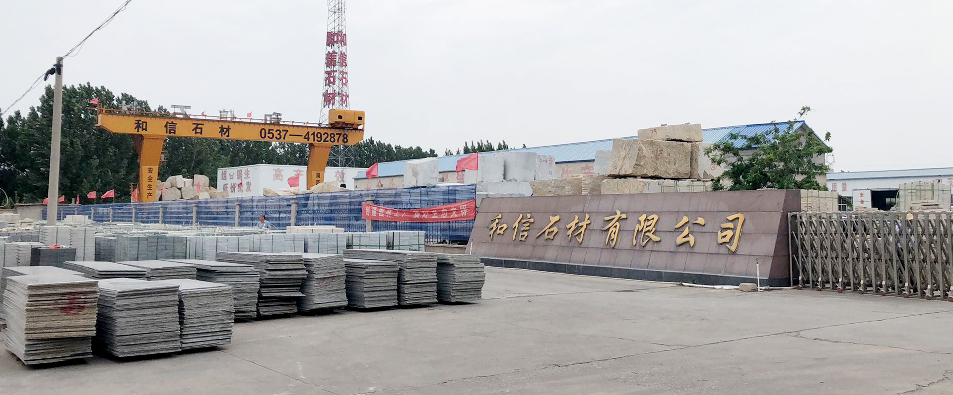 泰安市時時在線農業科技有限公司